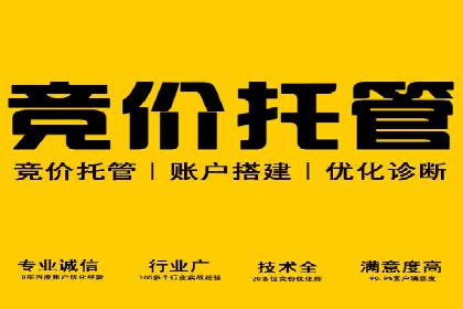SEM推广实战：成功案例解读与策略调整
